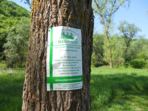 Плакатът на клуб „Нашенци“ на дървото – пролетен излет на клуб „Нашенци“ – Русе, поляната край Басарбовския скален манастир, 29.04.2012